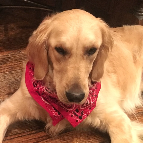 Meet your Posher, Lisa - Picture 1 of 1